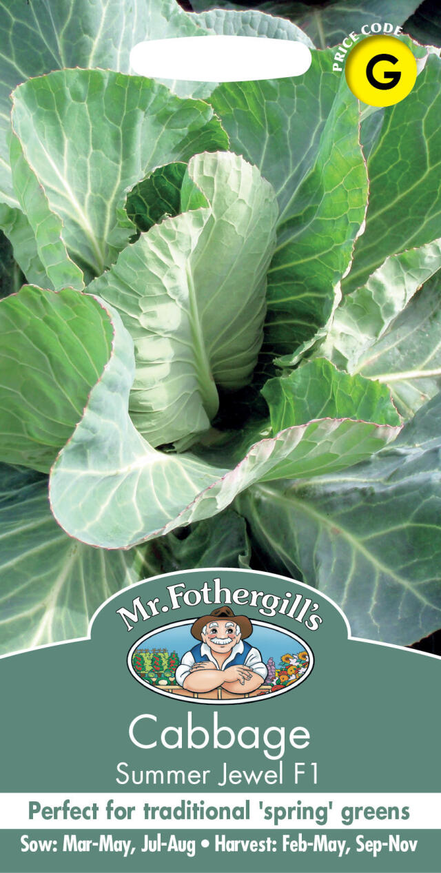 【種子】 Mr.Fothergill's Seeds Cabbage Summer Jewel F1 キャベッジ サマージュエル・F1 ミスター・フォザーギルズシード
