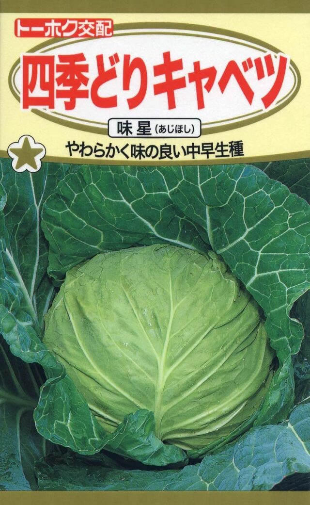 キャベツ味星