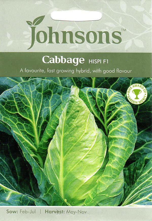 キャベッジ・ヒスピ・F1