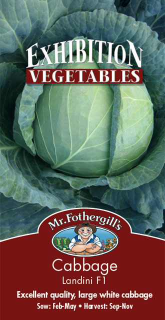 キャベッジ・ランディニ・F1