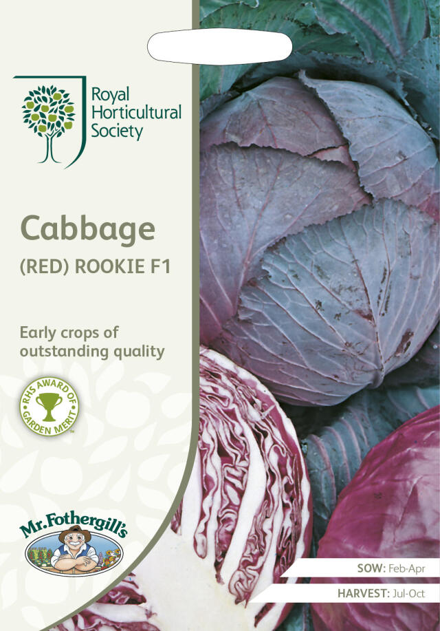 cabbage_rookie