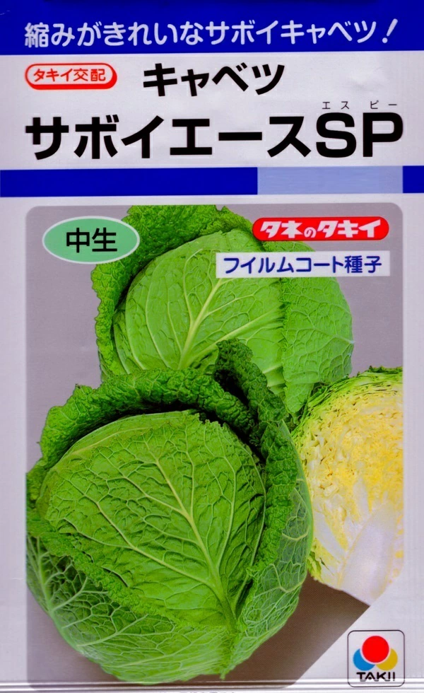 キャベツサボイエースSP
