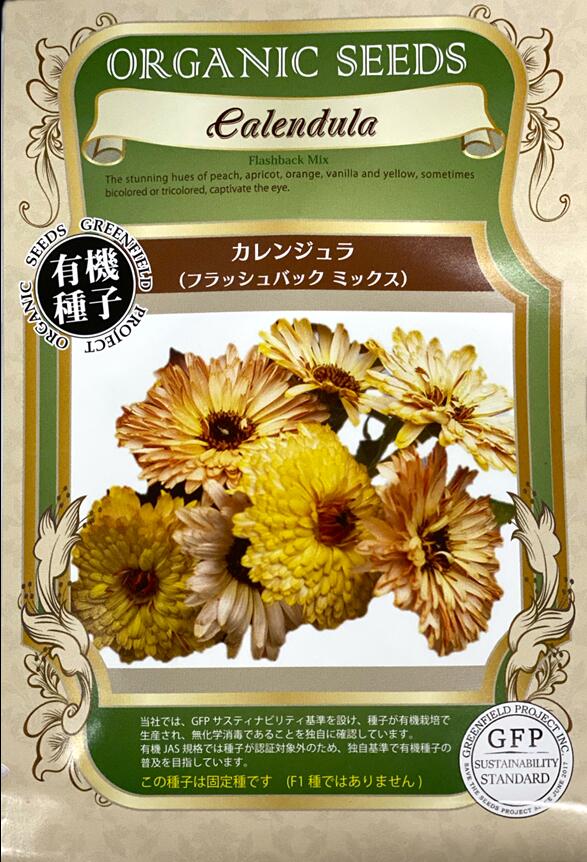 カレンジュラ　フラッシュバックミックス