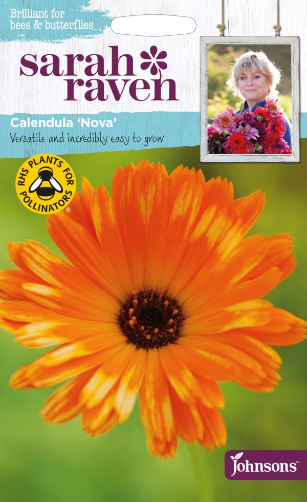 カレンデュラページ カレンジュラ（きんせんか） Calendula Gardener's Shop Ivy