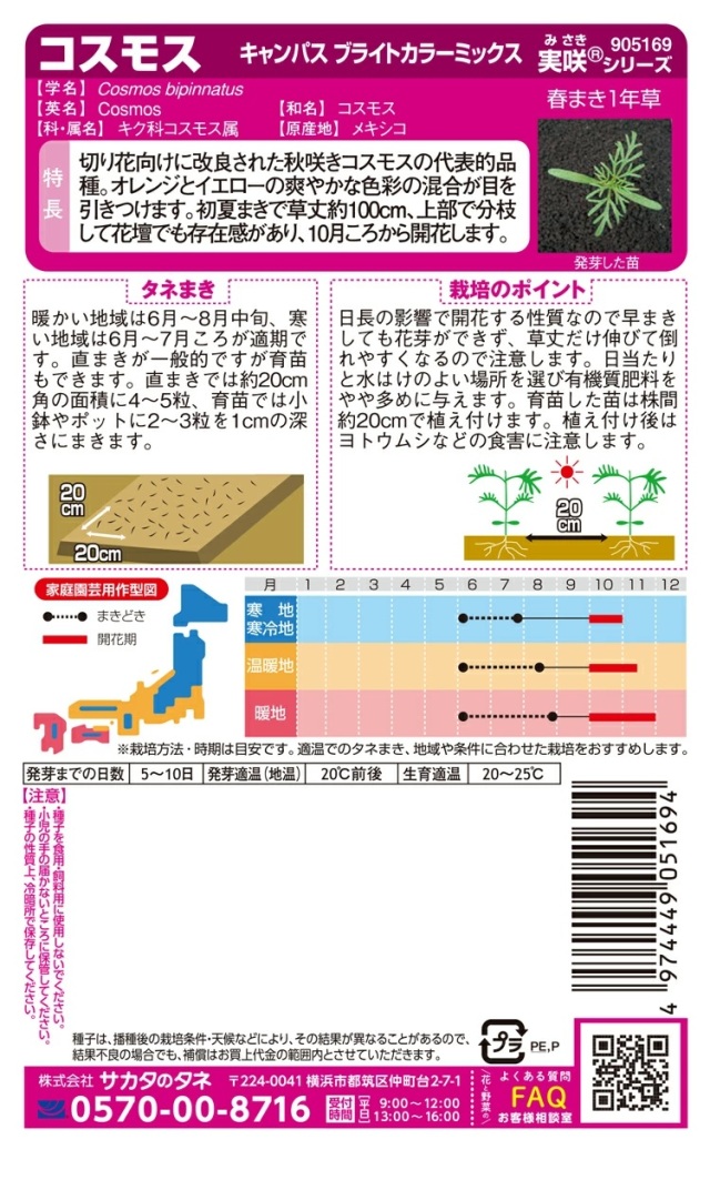 コスモス　キャンパスブライトカラーミックス