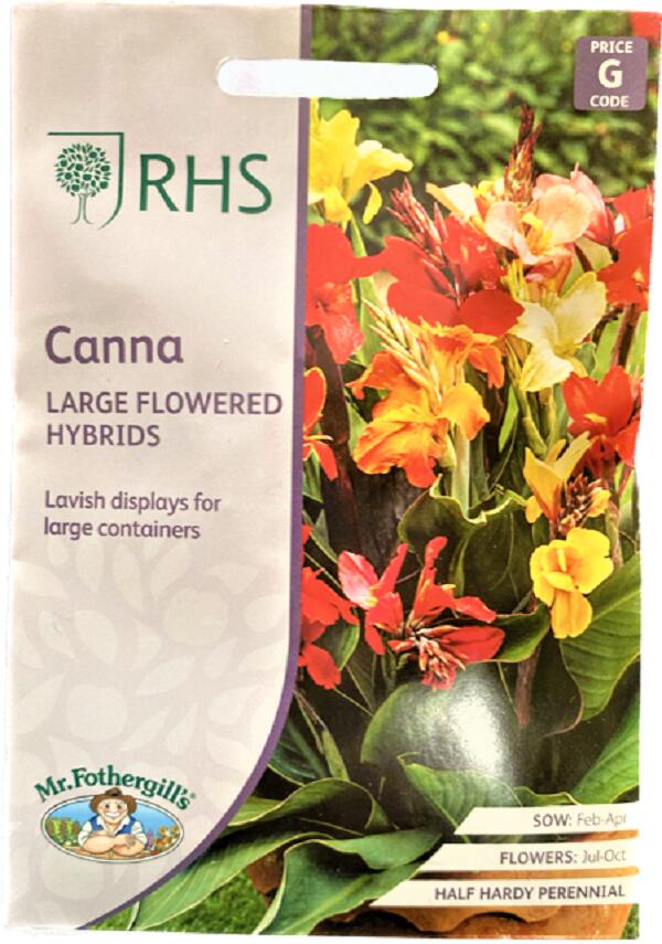 canna-largeflowered