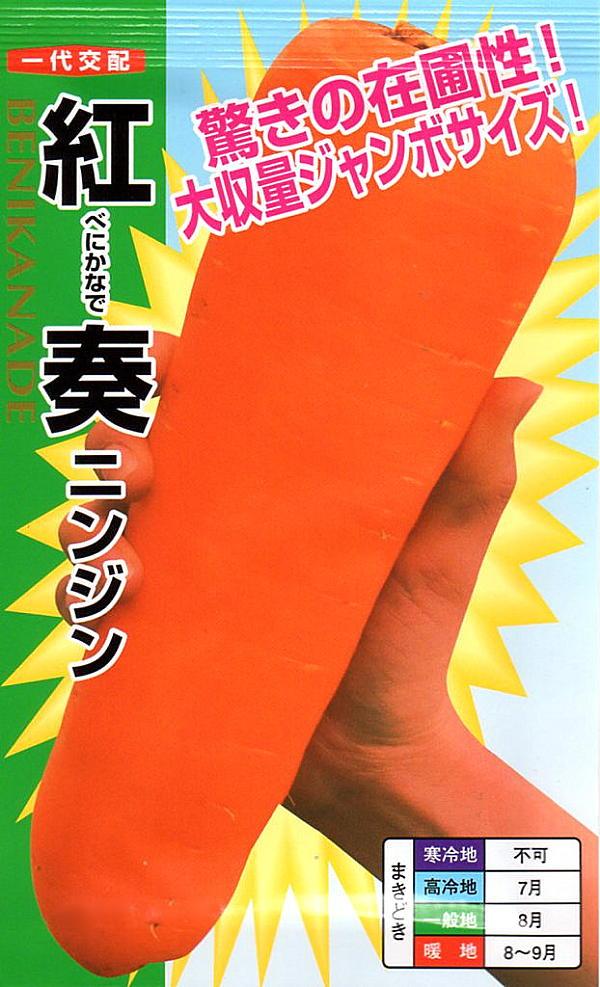 にんじん 紅奏