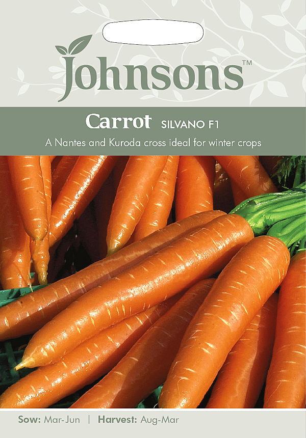 キャロット・シルバノ・F1