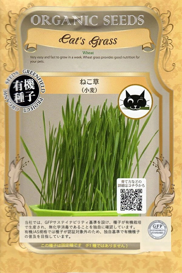 ねこ草