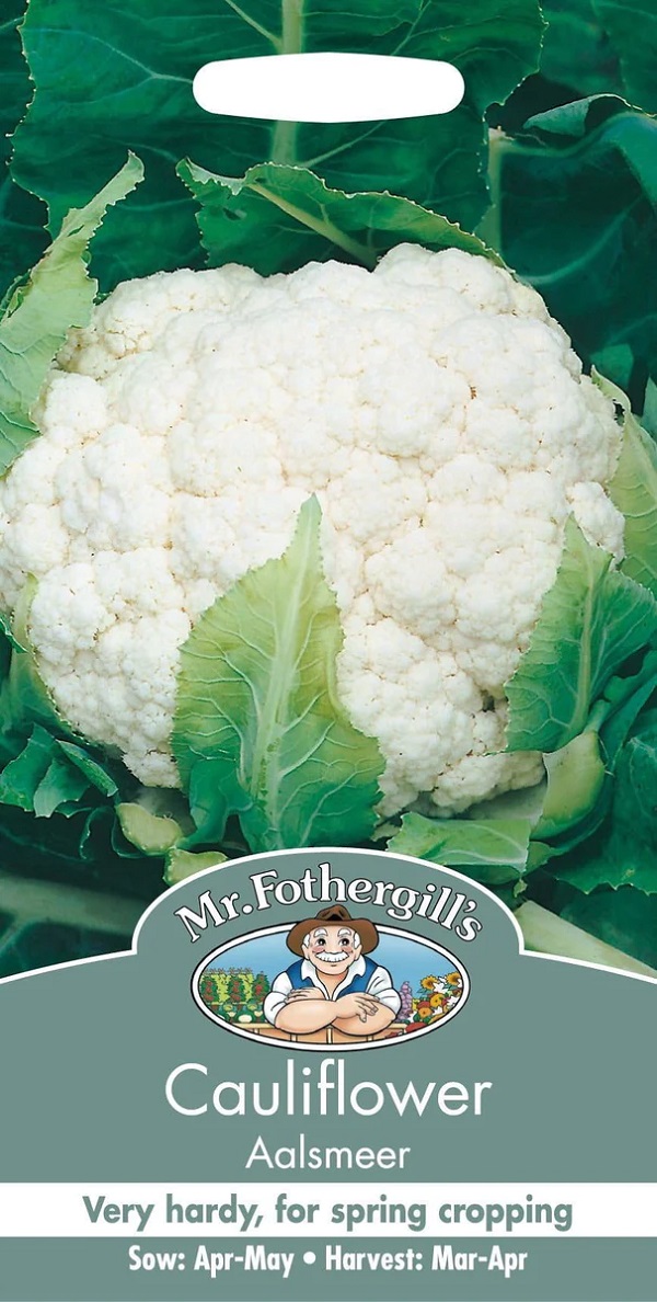 Cauliflower Aalsmeer カリフラワー アールスメール