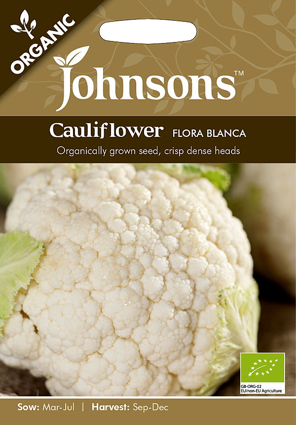 カリフラワー様　専売 カリフラワー Cauliflower Gardener's Shop Ivy