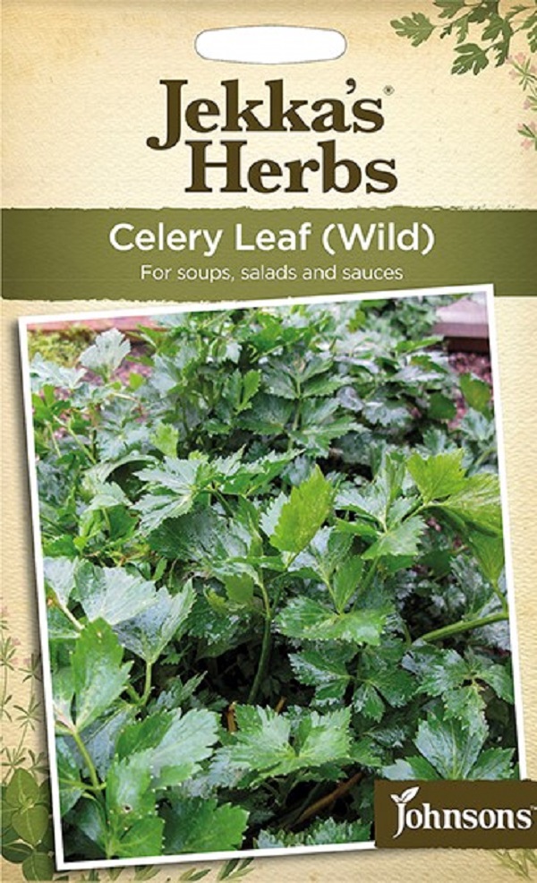 celery-leaf