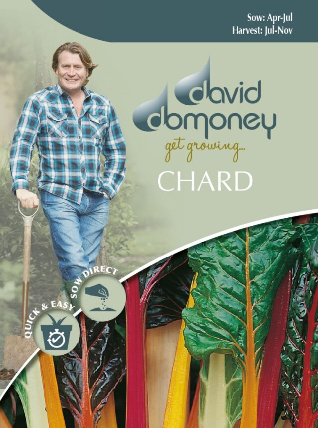 チャード ブライト・ライツ