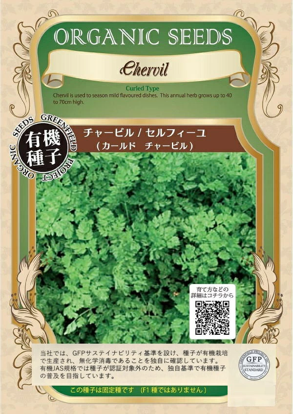 チャービル/セルフィーユ （カールド チャービル）