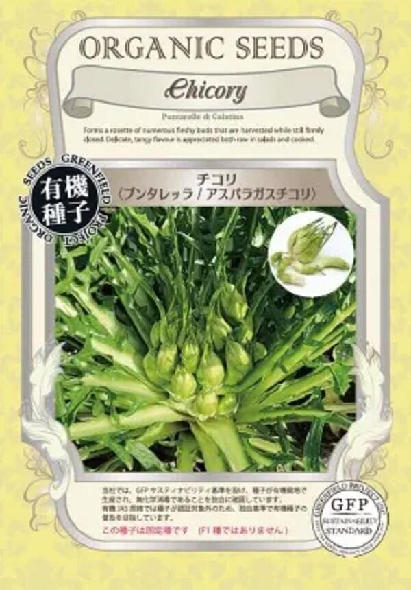 チコリ プンタレッラ