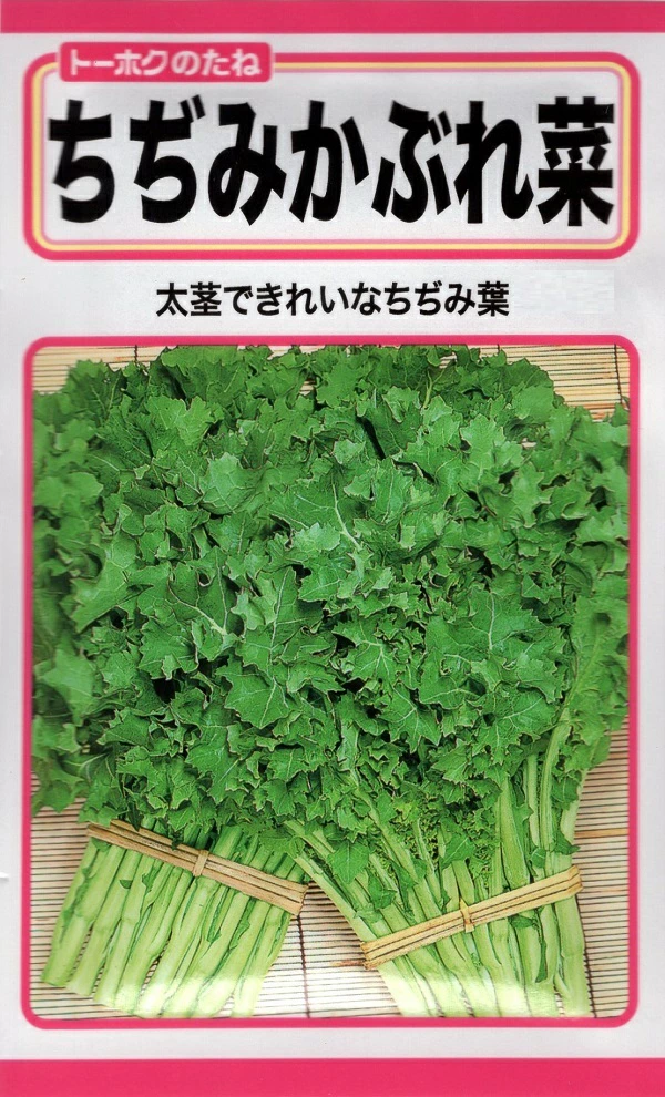 ちぢみかぶれ菜