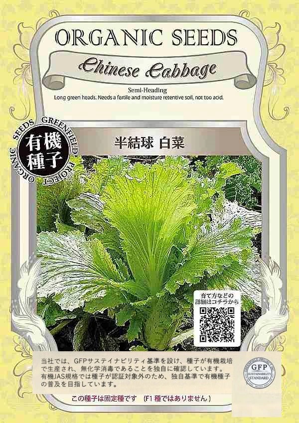 半結球　白菜