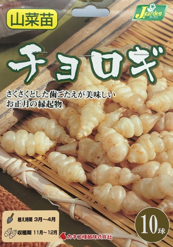 チョロギ