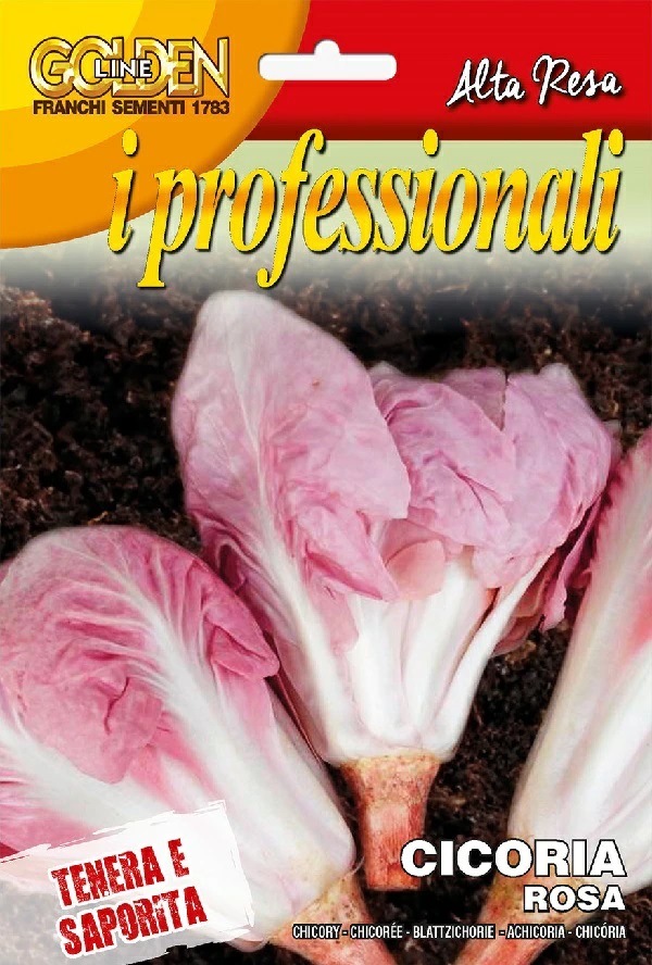 リーフチコリー　ローサ