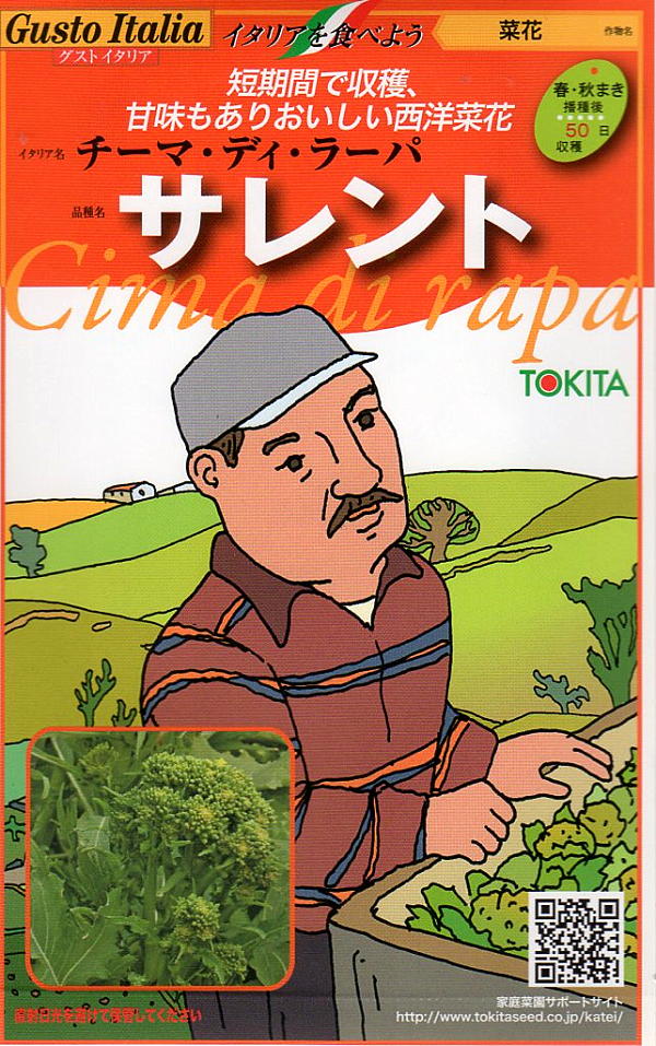 菜花 サレント