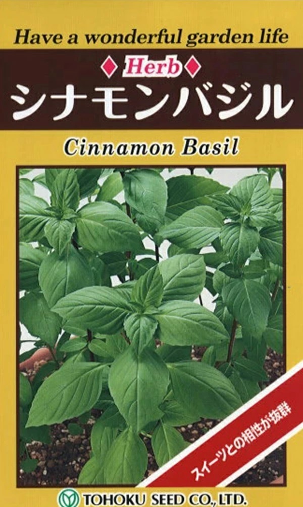 バジル Basil Gardener's Shop Ivy