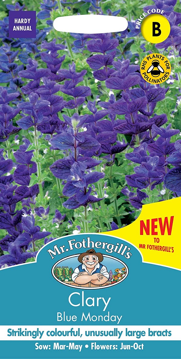 【輸入種子】 Mr.Fothergill's Seeds Clary Blue Monday クラリー ブルー・マンデー ミスター・フォザーギルズシード
