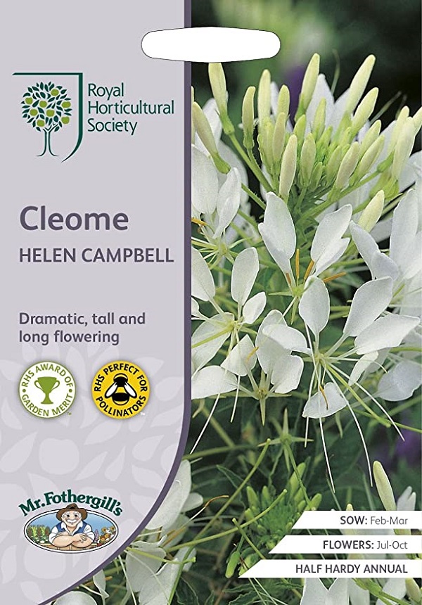 cleome helen campbell