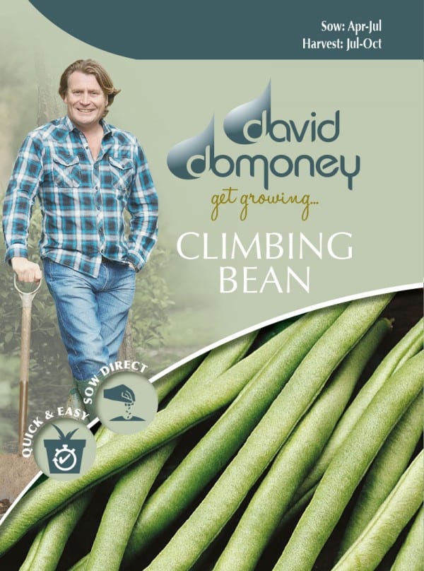 CLIMBING BEAN Cobra