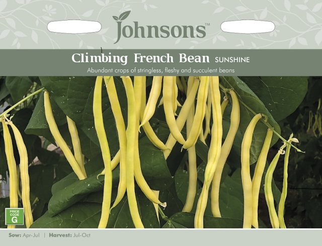 climbingfrenchbeansunshine