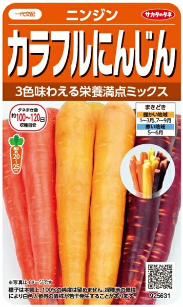 カラフルにんじん