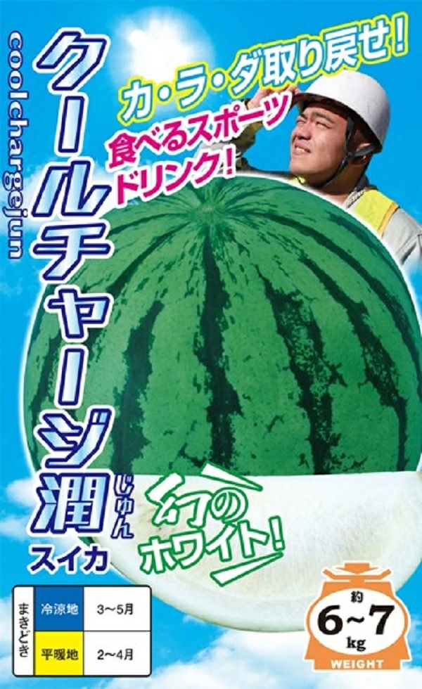 スイカ　クールチャージ潤