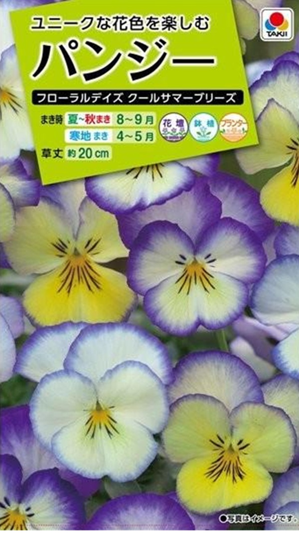 パンジー フローラルデイズクールサマーブリーズ
