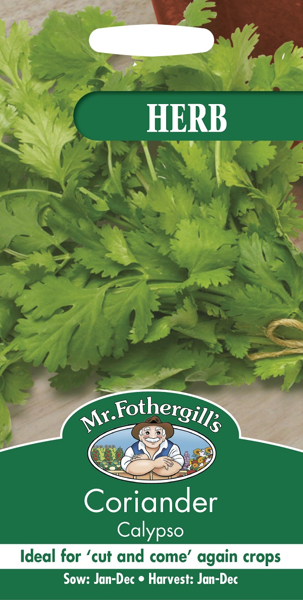 coriander calypso