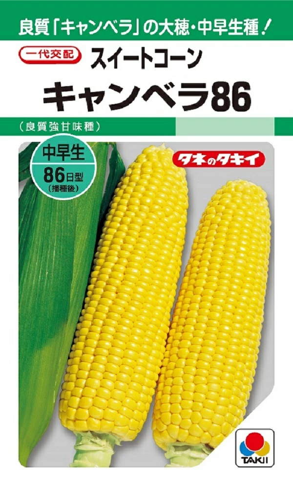 スイートコーンキャンベラ86