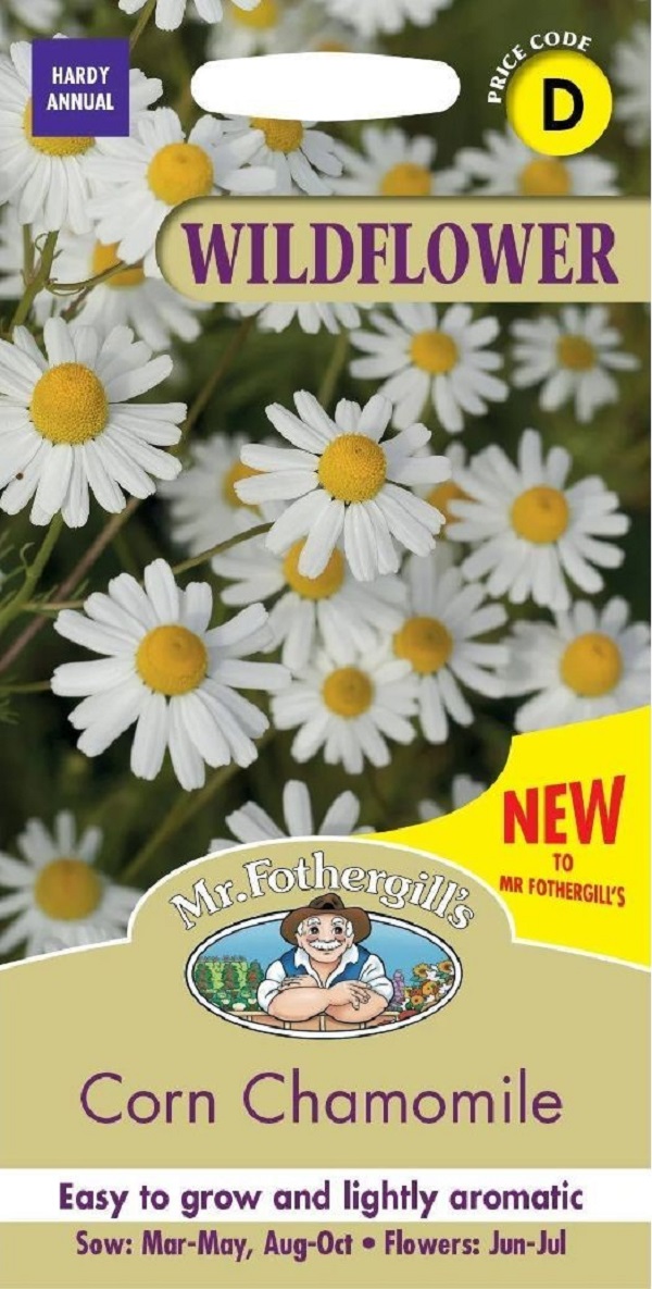 コーン カモミール