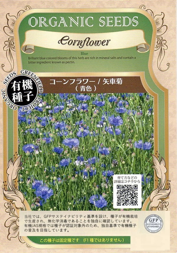 セントーレア（コーンフラワー） centaurea Gardener's Shop Ivy