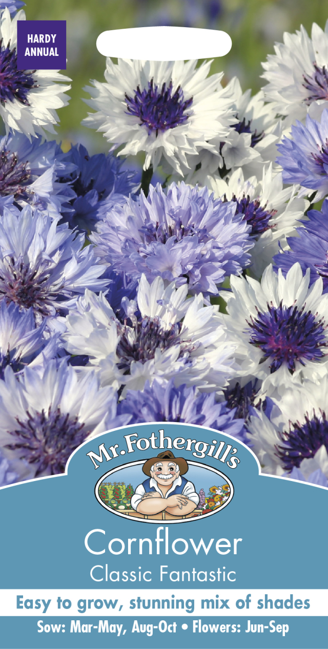 コーンフラワー