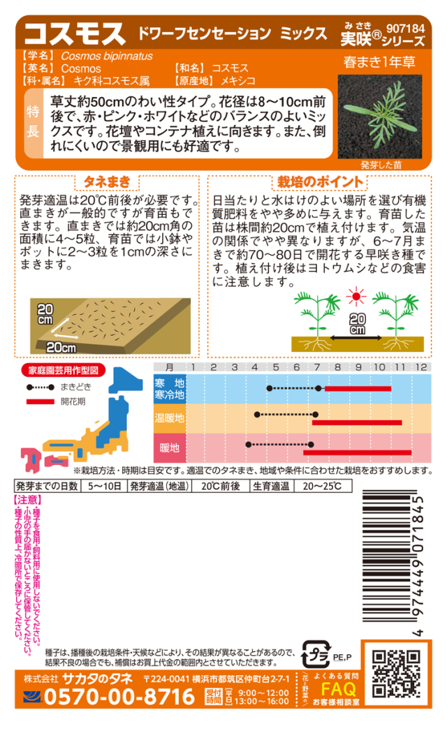 コスモスドワーフセンセーションミックス