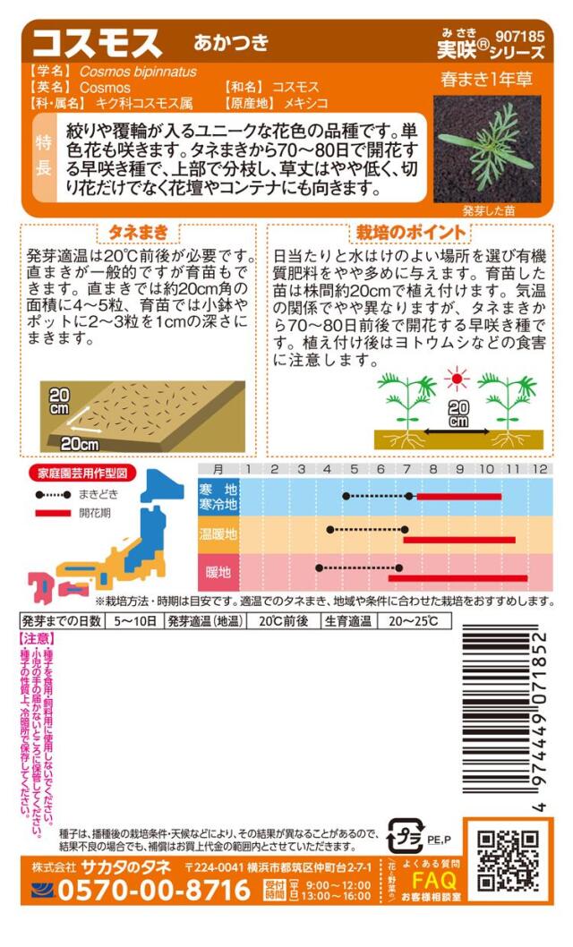 コスモスあかつき