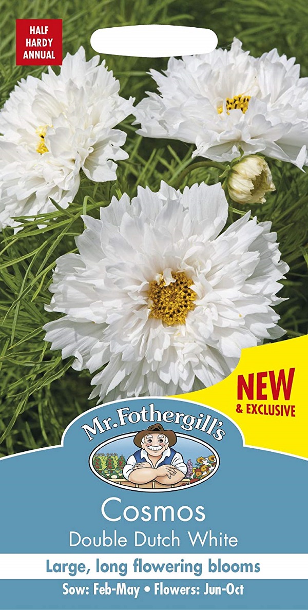 【輸入種子】 Mr.Fothergill's Seeds Cosmos Double Dutch White コスモス ダブル・ダッチ・ホワイト ミスター・フォザーギルズシード