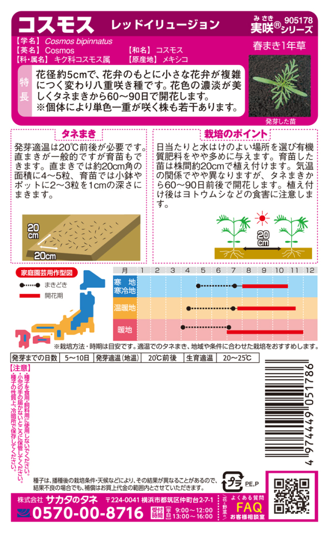 コスモスレッドイリュージョン