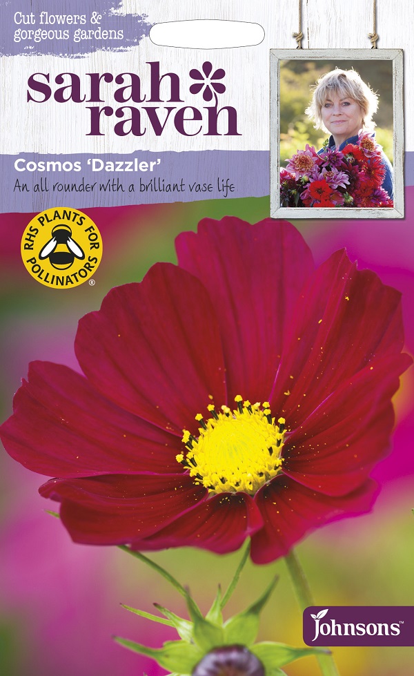 Cosmos Dazzler