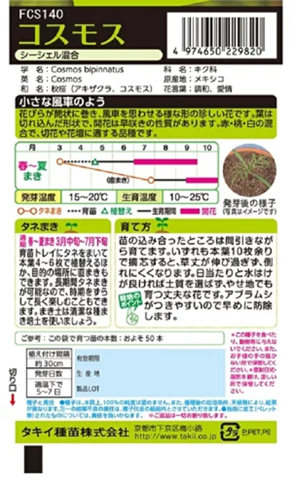 cosmos_seashell1
