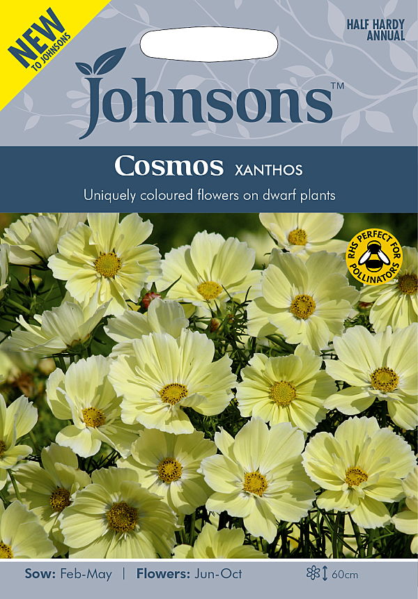 コスモス クサントス