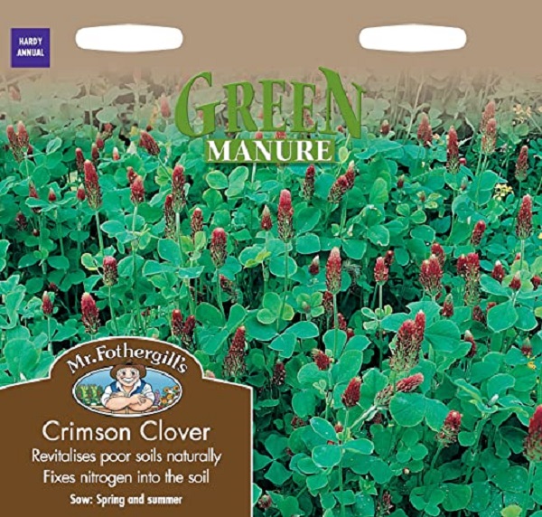 green manure crimson clover