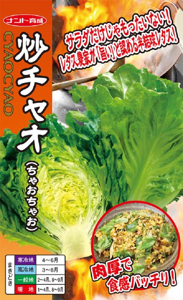 炒チャオ