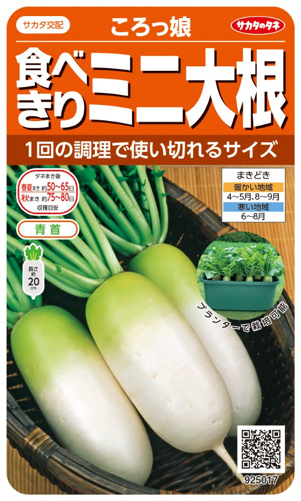 ミニ大根ころっ娘
