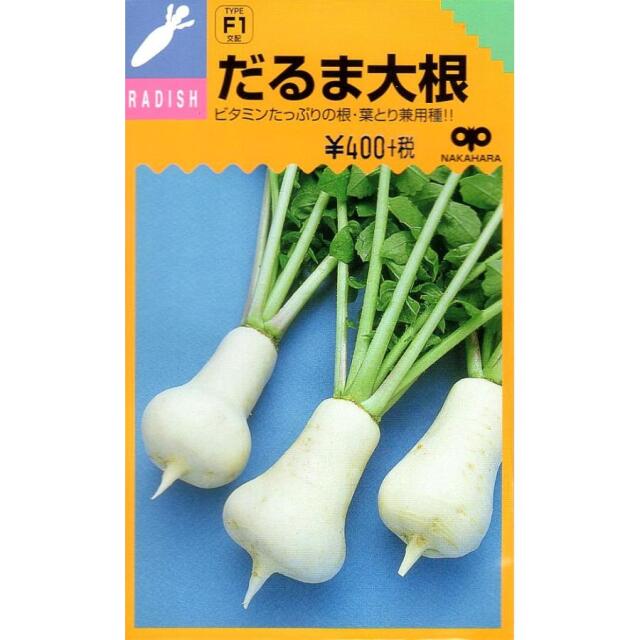 だるま大根