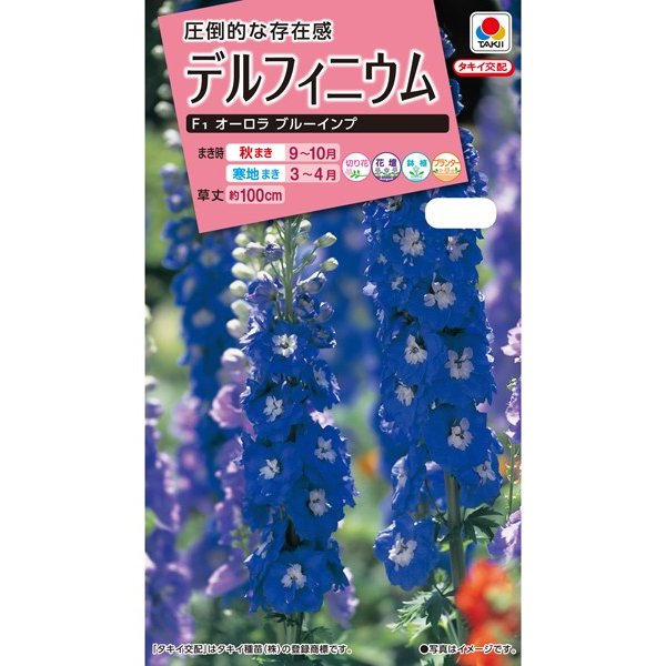 デルフィニウムオーロラブルーインプ