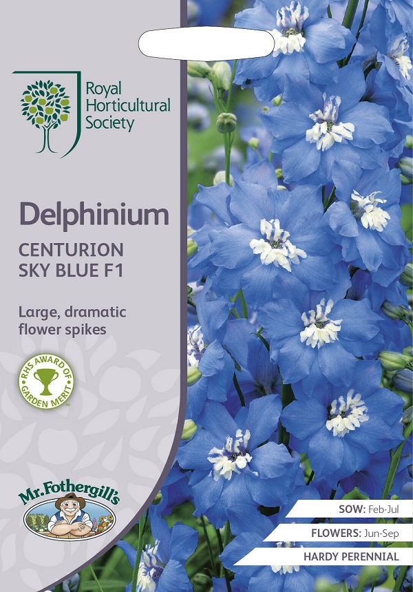 delphinium centurion sky blue